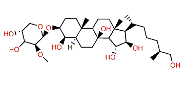 Kurilensoside E